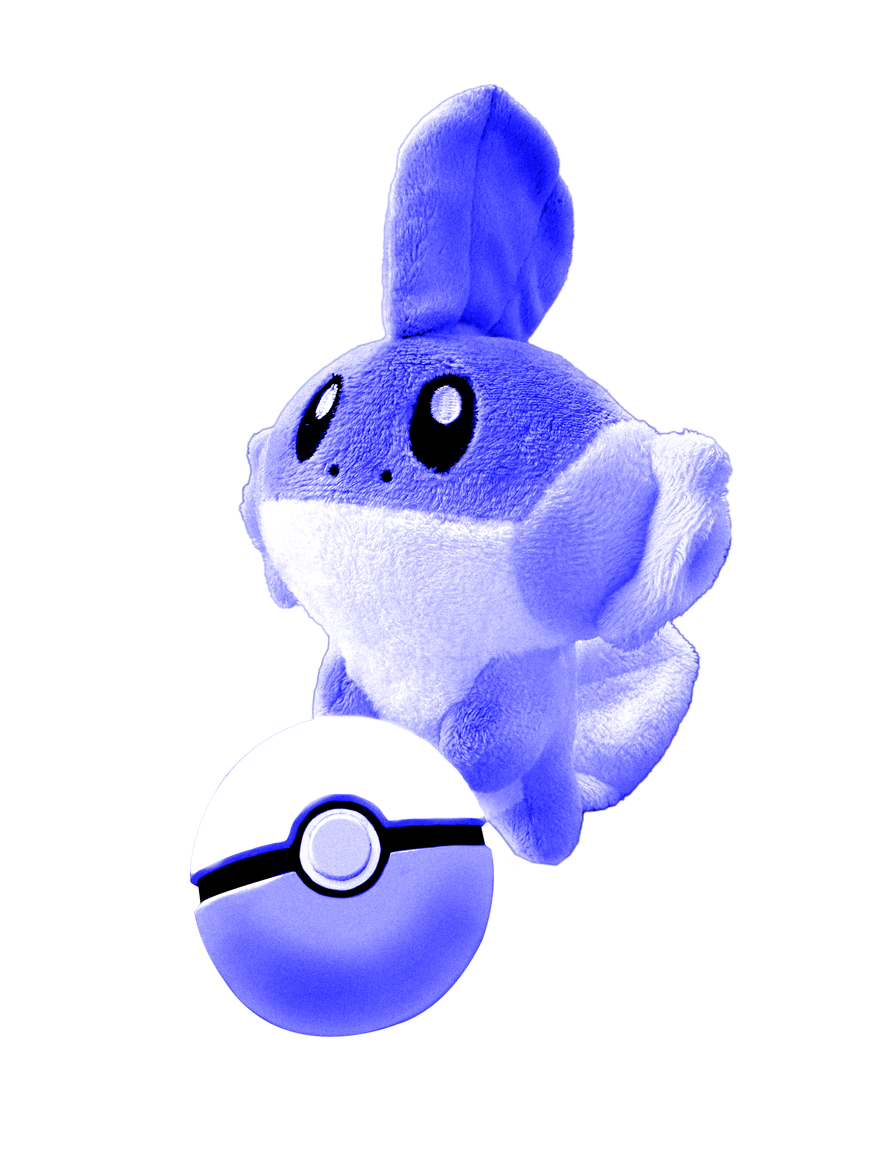 mudkip